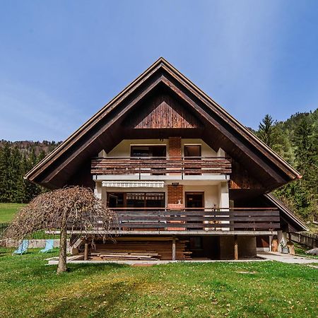Holiday Home Vila Kopriva ゴズ・マルチュリェク エクステリア 写真